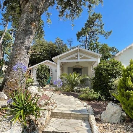 Adorable petite maison à 400m de la mer Saint-Georges-de-Didonne Exterior foto